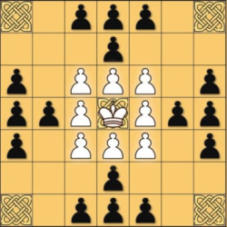 Tafl: viking chess